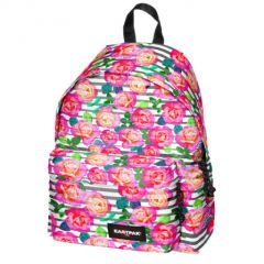 Florid Stripe